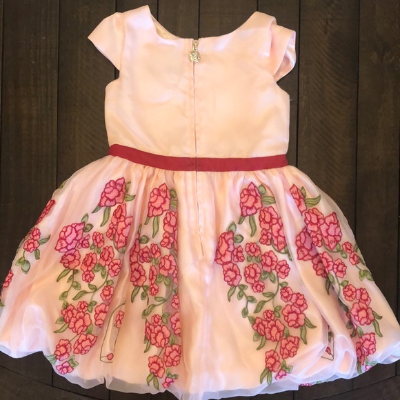 Beautiful Dress - Picture 4 of 10